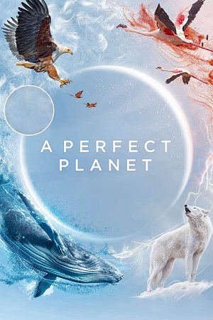 A perfect Planet (Season 1) Dual Audio [Hindi + English] Complete Web Series Esubs 720p [400MB]