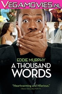 A Thousand Words (2012) Dual Audio {Hindi-English} 480p [300MB] | 720p [800MB]