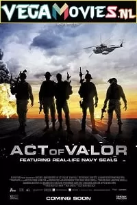 Act of Valor (2012) Dual Audio {Hindi-English} 480p [400MB] | 720p [1GB]