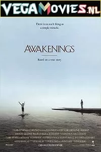 Awakenings (1990) Dual Audio {Hindi-English} 480p [500MB] | 720p [1.2GB] | 1080p [2.3GB]