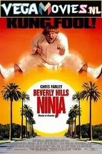 Beverly Hills Ninja (1997) Dual Audio {Hindi-English} 480p [300MB] | 720p [1GB]