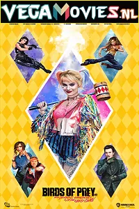 Birds of Prey (2020) Dual Audio {Hindi-English} 480p [350MB] | 720p [1.2GB] | 1080p [2.8GB]