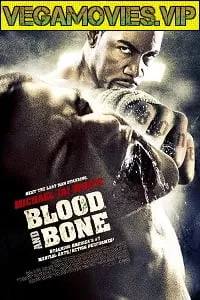 Blood and Bone (2009) Dual Audio {Hindi-English} 480p [300MB] | 720p [700MB]