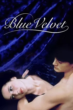 Blue Velvet (1986) Dual Audio [Hindi + English] WeB-DL 480p [400MB] | 720p [1.1GB] | 1080p [2.4GB]