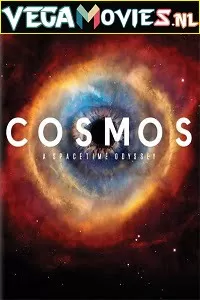 Cosmos: A Spacetime Odyssey (2014) Season 1 Hindi Complete WEB Series 480p [160MB] | 720p [450MB]