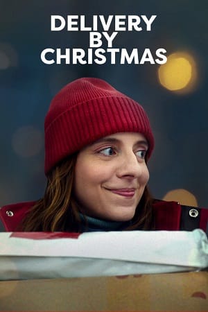 Delivery By Christmas (2022) WEB-DL Dual Audio {Hindi-English} 480p [400MB] | 720p [1.2GB] | 1080p [2.2GB]