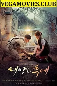 Descendants Of The Sun (Season 1) Korean Series {Hindi Dubbed} 720p [350MB] HEVC