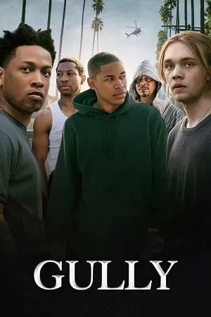 Gully (2019) Dual Audio [Hindi + English] WeB-DL 480p [300MB] | 720p [900MB] | 1080p [1.7GB]