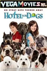 Hotel for Dogs (2009) Dual Audio [Hindi-English] WeB-DL 480p [350MB] | 720p [850MB] | 1080p [1.6GB]