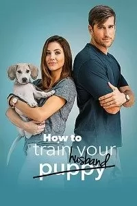 How to Train Your Husband (2018) Dual Audio {Hindi-English} 480p [300MB] | 720p [1GB] BluRay