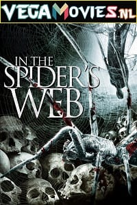 In the Spiders Web (2007) Dual Audio {Hindi-English} 480p [300MB] | 720p [900MB]