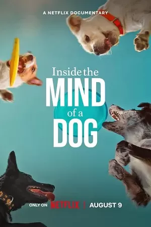 Inside The Mind Of A Dog (2024) WEB-DL Dual Audio {Hindi-English} 480p [250MB] | 720p [690MB] | 1080p [1.6GB]