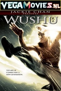 Jackie Chan Presents: Wushu (2008) Dual Audio {Hindi-English} 480p [300MB] | 720p [900MB] | 1080p [2GB]