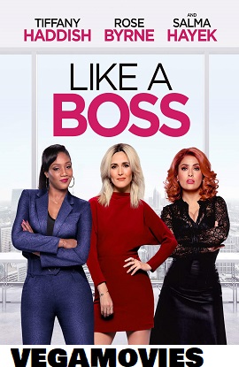 Like a Boss (2020) Dual Audio Hindi BluRay 480p [320MB] | 720p [750MB] | 1080p [2.6GB]