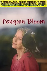 Penguin Bloom (2020) HDCAM English 480p [250MB] | 720p [850MB]