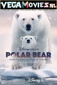 Polar Bear (2022) {English With Subtitles} 480p [250MB] | 720p [700MB] | 1080p [2.4GB]