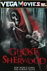 Robin Hood Ghosts of Sherwood (2012) Dual Audio {Hindi-English} 480p [400MB] | 720p [1GB]