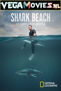 Shark Beach with Chris Hemsworth (2021) Dual Audio {Hindi-English} 720p [250MB] HEVC HDRip