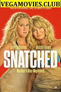 Snatched (2017) Dual Audio {Hindi-English} 480p [300MB] | 720p [1GB]