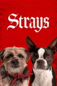 Strays (2023) Dual Audio [Hindi + English] BluRay 480p [480MB] | 720p [1GB] | 1080p [2.2GB]