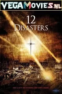 The 12 Disasters of Christmas (2012) Dual Audio {Hindi-English} 480p [300MB] | 720p [1.2GB]