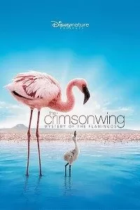 The Crimson Wing (2008) Dual Audio {Hindi-English} 480p [300MB] | 720p [800MB]