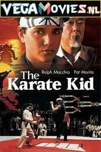 The Karate Kid (1984) Dual Audio {Hindi-English} 480p [400MB] | 720p [1GB] | 1080p [4GB]