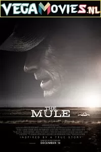 The Mule (2018) English With Subtitles 480p [500MB] | 720p [900MB]