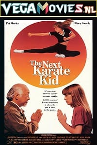 The Next Karate Kid (1994) Dual Audio {Hindi-English} 480p [400MB] | 720p [1GB] | 1080p [3.7GB]