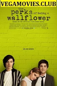 The Perks of Being a Wallflower (2012) BluRay English Full Movie 480p [400MB] | 720p [800MB]