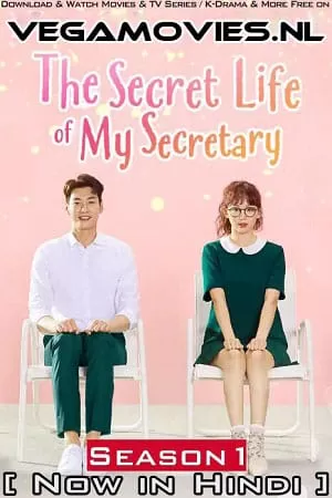 The Secret Life of My Secretary (Season 1) Hindi Dubbed Complete K-Drama Series 480p | 720p WEB-DL