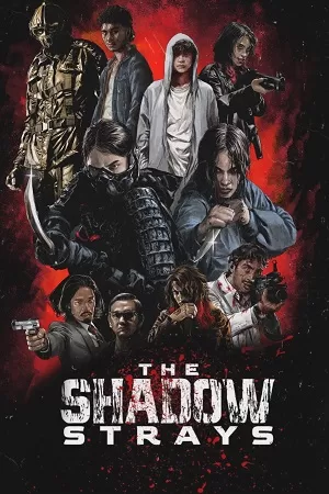 The Shadow Strays | NetFlix Original (2024) WEB-DL Dual Audio {Hindi-English} 480p [520MB] | 720p [1.4GB] | 1080p [2.3GB] | 10Bit HEVC + x264 + H264