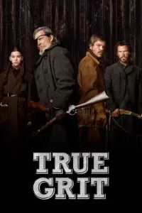 True Grit (2010) Dual Audio Hindi BluRay 480p [300MB] | 720p [1GB] | 1080p [4.3GB]