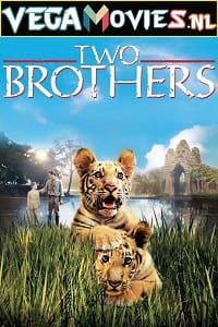 Two Brothers (2004) Dual Audio [Hindi-English] WeB-DL 480p [350MB] | 720p [1GB]