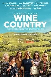 Wine Country (2019) Dual Audio {Hindi-English} 480p [400MB] | 720p [1GB] BluRay