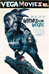 Witches In The Woods (2019) Dual Audio {Hindi-English} 480p [300MB] | 720p [900MB] | 1080p [1.7GB]