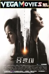 Yong Pal (2015) Season 1 Hindi Dubbed Complete [Korean Series] 720p HEVC [250MB] WEB-DL