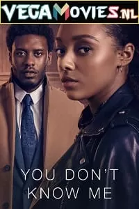 You Don’t Know Me (Season 1) Dual Audio [Hindi-English] Complete Netflix Web Series 480p | 720p | 1080p WEB-DL