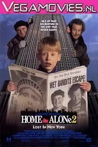 Home Alone 2 (1992) Dual Audio {Hindi-English} 480p [400MB] | 720p [1GB]