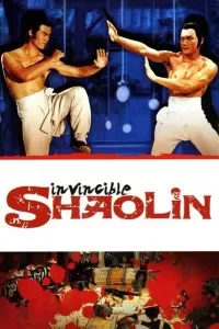 Invincible Shaolin (1978) Dual Audio {Hindi-English} 480p [400MB] | 720p [1.2GB] BluRay