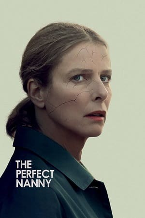 Perfect Nanny (2019) Dual Audio [Hindi + French] WeB-DL 480p [350MB] | 720p [900MB] | 1080p [2GB]