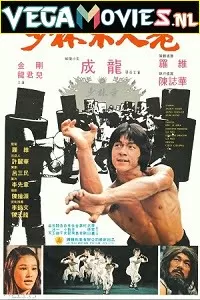 Shaolin Wooden Men (1976) Dual Audio [Hindi-English] 480p [350MB] | 720p [900MB]