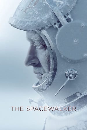 The Spacewalker (2017) Dual Audio [Hindi + English] WeB-DL 480p [450MB] | 720p [1.2GB] | 1080p [2.8GB]