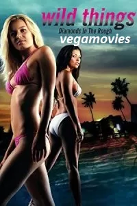 [18+] Wild Things 3 (2005) Full Movie in Hindi 480p [300MB] | 720p [800MB]